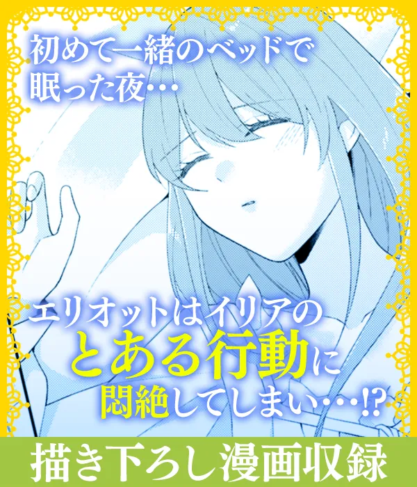 見どころ